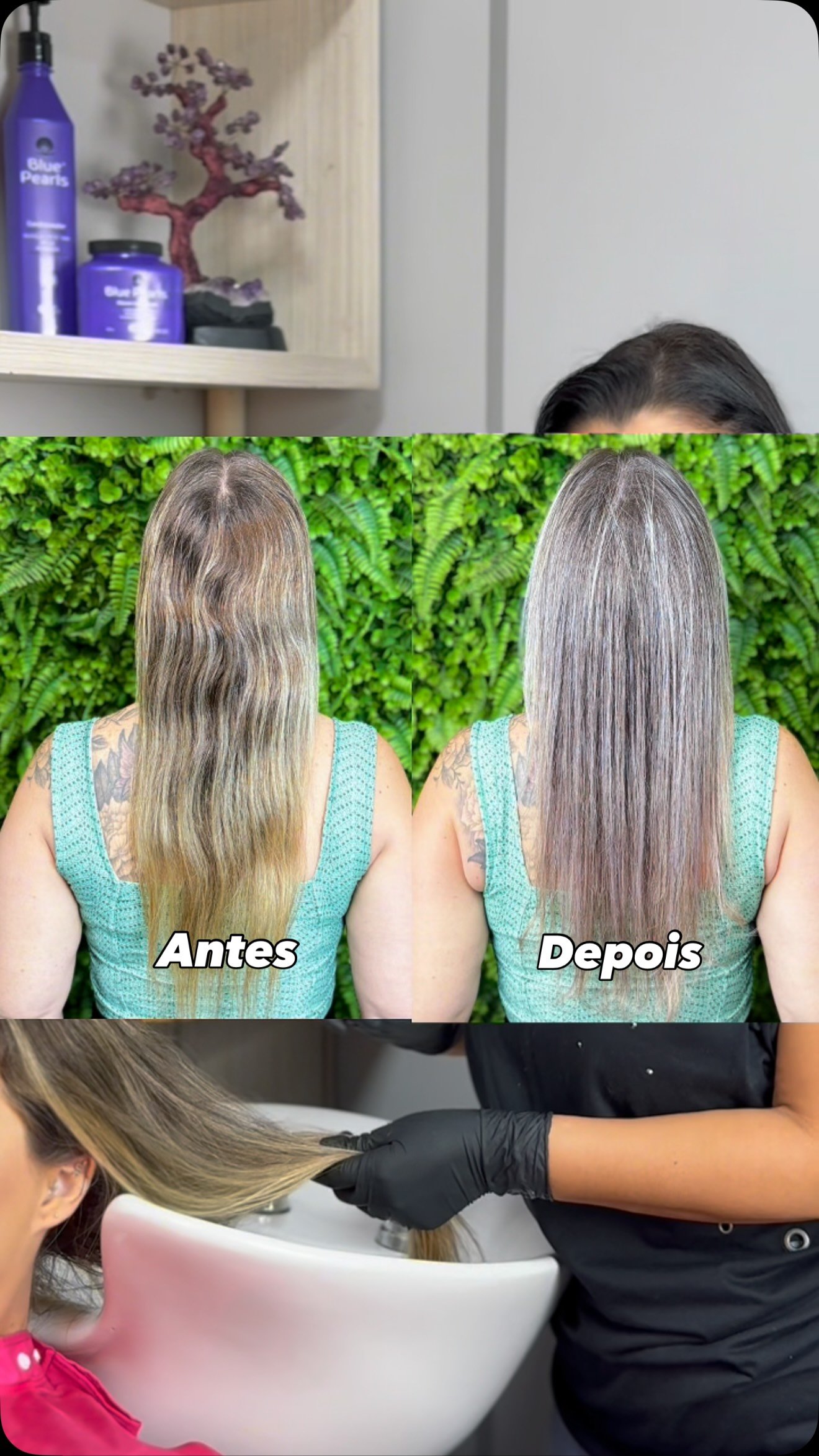 Adeus, amarelo! Olá, perolado perfeito! ✨
​Sabe aquele tom amarelado que insiste em aparecer no loiro? A linha Blue Pearls chegou para resolver. Com tecnologia de alta performance, ela neutraliza os reflexos quentes indesejados e transforma o seu cabelo, deixando um tom perolado sofisticado, brilhante e mega hidratado.
​O loiro dos sonhos, com o cuidado que você merece.
​🔹 Por que você vai amar?
​Neutralização imediata do amarelo, sem ressecar.
​Efeito perolado luminoso.
​Brilho intenso e maciez profunda.
​Transforme seu visual hoje mesmo! Garanta o seu kit pelo link na bio ou mande uma mensagem no Direct. 🛍️
​#LoiroPerolado #BluePearls  #Matizador #LoiroPerfeito #CronogramaCapilar